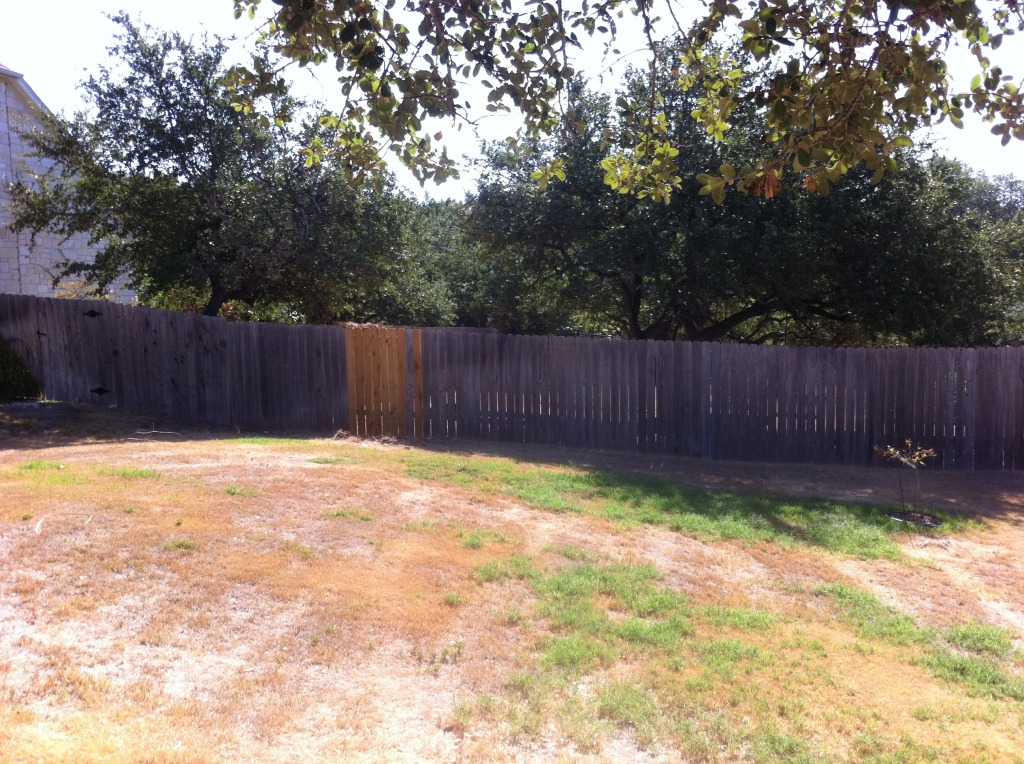 2011-09-24-6607 Conifer Cove-34.jpg